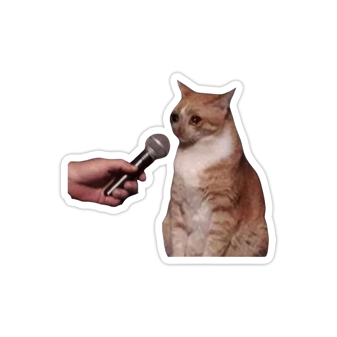 interview sad cat - theqaafshop