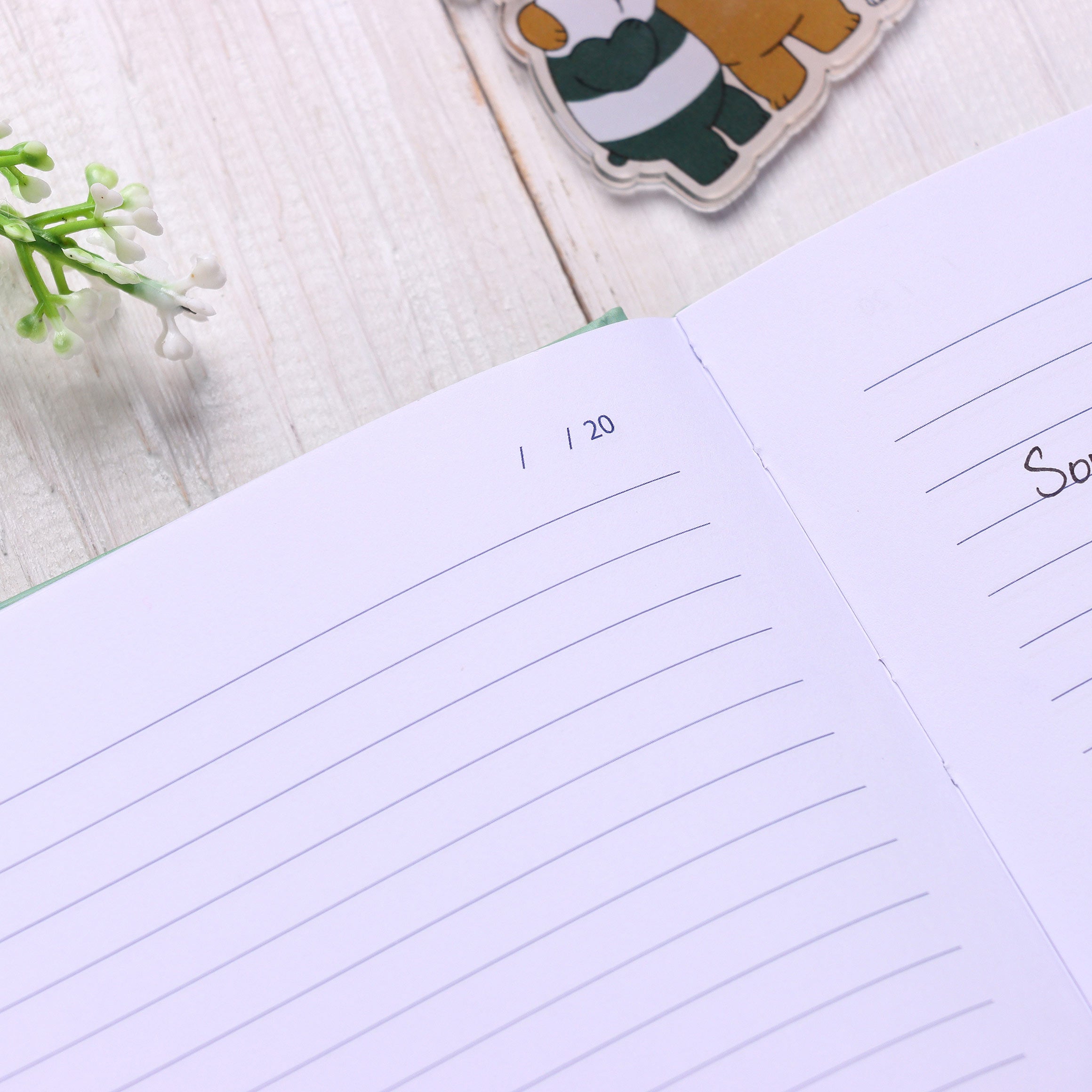 Bears Win Blue - theqaafshop