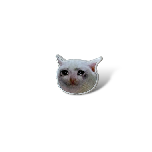 Sad Cat Pin