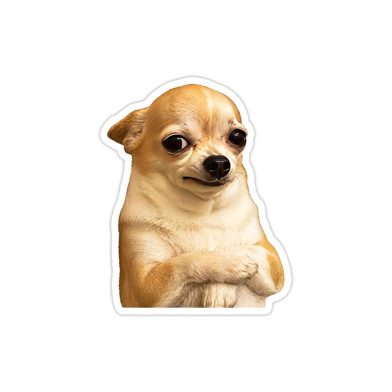 Meme Dog