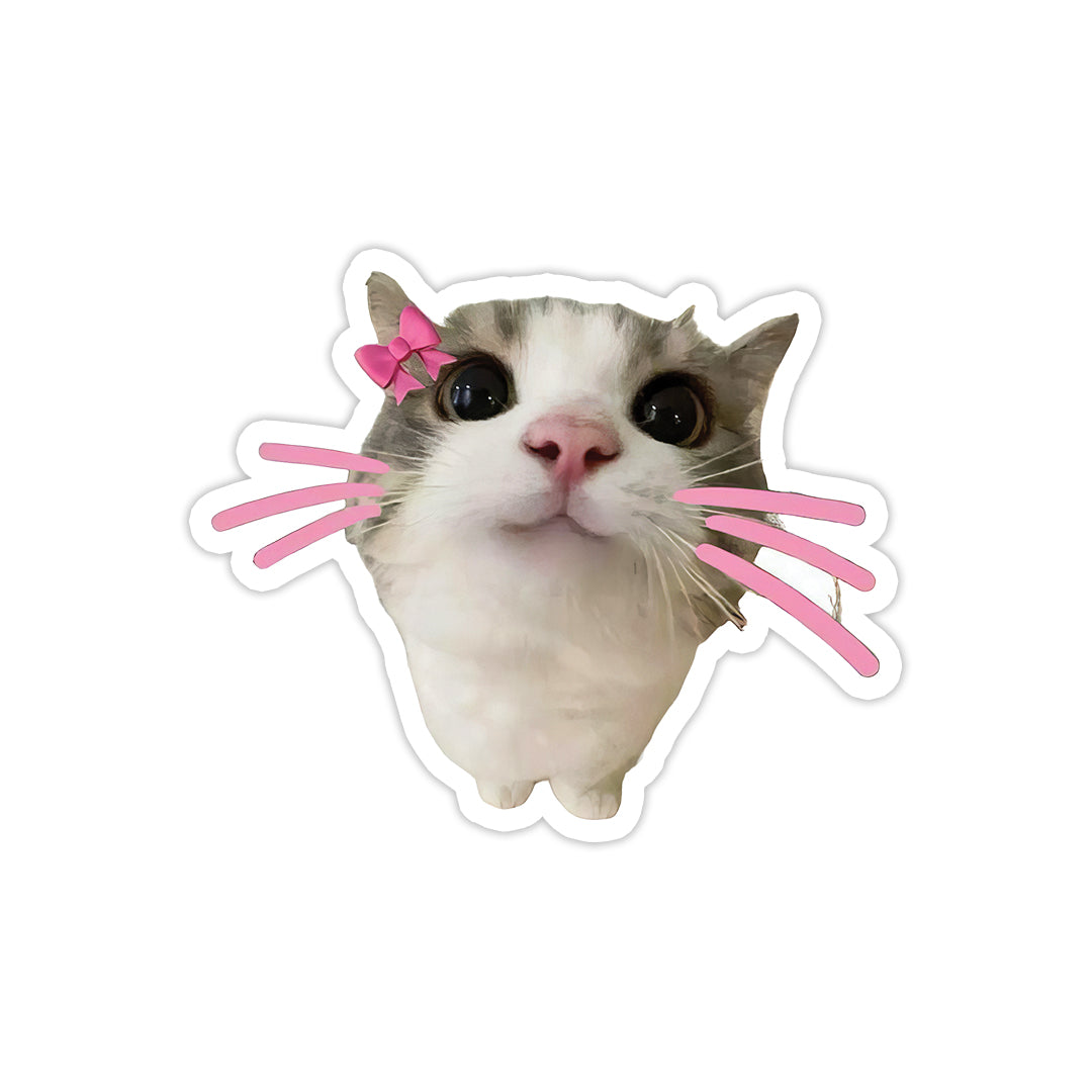 Girly Cat
