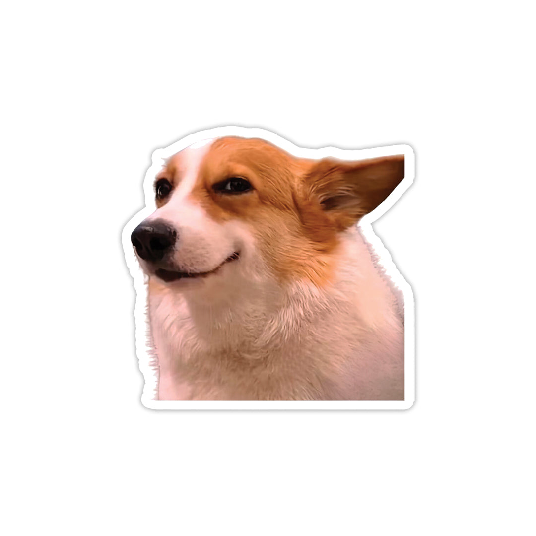 Meme Dog