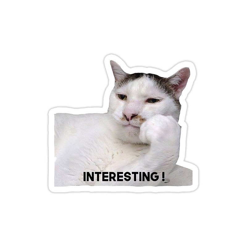 Interesting cat - theqaafshop