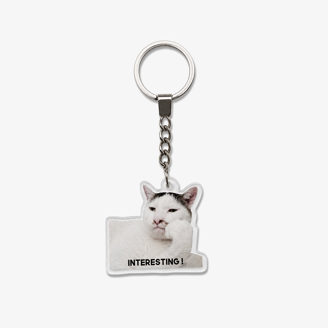 Interesting cat - theqaafshop